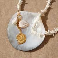 Seashell Necklace